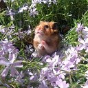 ���� ����� - ���������� ��������!!!, �����������, 56 ��� - ��������� 4 ������� 2009 � ������ ����������� :-)�