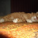 ������� �� ������� ����� ��� ������������