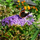 ���� ����, ������ �������� - ��������� 23 ������� 2011 � ������ �������