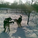 ���� �����, ������ ��������, 38 ��� - ��������� 18 ����� 2009 � ������ �������