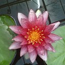 ���� ����� - ���������� ��������!!!, �����������, 56 ��� - ��������� 10 ������ 2010 � ������ ������� �����