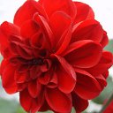 ���� ��������, ������ - ��������� 11 �������� 2011 � ������ �������� ����˨���