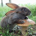 ���� ==Elena==, ������� - ��������� 9 ������ 2014 � ������ ���� ����������