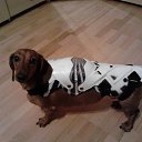 ����������� ������....�������� ����� ��������... �� ������� ���� ����������