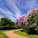  Loseff Yurij, , 63  -  10  2013   