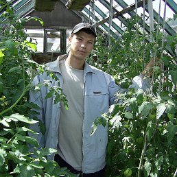 ���� ���������, ������, 48 ��� - ��������� 4 ������� 2013