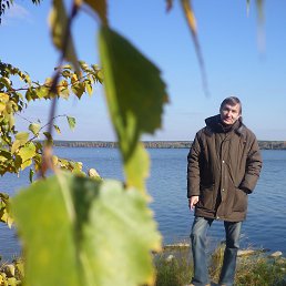 ������, ������������, 71 ���