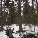 ������ �� 3 ��� �� ����� (���������� ������� ��������) �� ������� ���� ����������