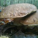 ���� ����, ����������, 53 ���� - ��������� 13 �������� 2013 � ������ ���� ����������