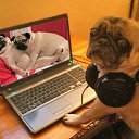 ���� ��, ��� ���?!, �����-���������, 56 ��� - ��������� 3 ����� 2014 � ������ ���� ����������