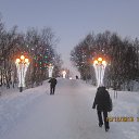 ���� ���������, ��������, 43 ���� - ��������� 9 ������ 2014 � ������ ������ ��������