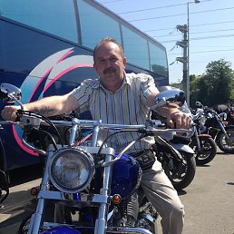 ��������� ������, ����, 65 ���