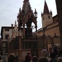 ���� ������, ������, 72 ���� - ��������� 2 ������� 2013 � ������ �������,��������2013�