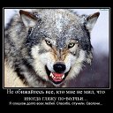 ���� Volk, ������, 52 ���� - ��������� 17 ������ 2014 � ������ ����� ��� ������������