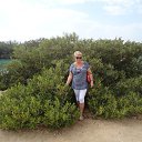 ������. ����. ��������� ����.