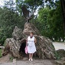  ((((Olenka)))),  -  23  2013    