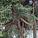 ���� ������� �., ����� - ��������� 16 ������� 2014 � ������ ������ ��������