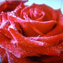 ���� ?Rjo, ������-����, 63 ���� - ��������� 8 ������ 2013 � ������ ���� ����������