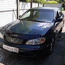 ���� ���������, �������� - ��������� 25 �������� 2013 � ������ ���� ����������