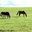 ���� ��������, ������, 31 ��� - ��������� 26 ������� 2014 � ������ ������ ��������