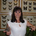 ���� ����, �������, 43 ���� - ��������� 17 ������� 2013 � ������ ���� ����������