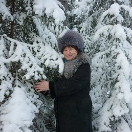 ���������, ��������, 84 ����