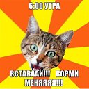 ���� �����, ��������� - ��������� 16 ������ 2013 � ������ ��������