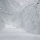 ���� ���������, ������ - ��������� 6 ������� 2013 � ������ ��������