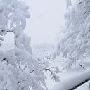 ���� ����, ��������, 49 ��� - ��������� 1 ������� 2014 � ������ ������ ��������