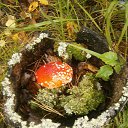 ���� ������, ���������� - ��������� 23 ������� 2013