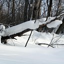 ���� �������, �����������-��-�����, 74 ���� - ��������� 3 ������� 2014 � ������ �����... �� �����������!�