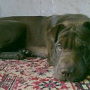 ...��� �� ������������� ���� ������...) �� ������� ���� ������...�