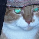 ���� ��������, �����-���������, 50 ��� - ��������� 23 ������� 2014 � ������ ���