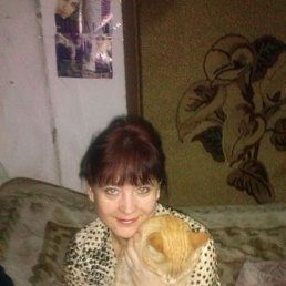 ���� ��������, ��� - ��������� 12 ����� 2014