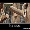 ���� ����, ������, 54 ���� - ��������� 31 ������� 2013 � ������ �������������
