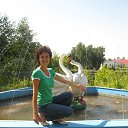 ���� �����, ������������� - ��������� 27 �������� 2013 � ������ ���� ����������