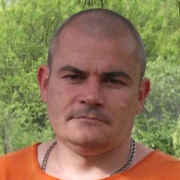 ������, ������, 50 ���