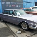 ���� ������, ������������, 43 ���� - ��������� 11 �������� 2013 � ������ ���� ����������
