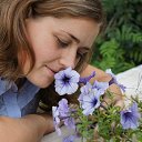 ���� ������42�, ������, 41 ��� - ��������� 13 ������� 2013 � ������ ���� ����������