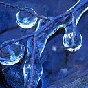 ���� �������, �������-���������, 52 ���� - ��������� 7 ������� 2013 � ������ ���� ����������