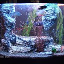 ���� �����, ������-��-����, 41 ��� - ��������� 27 ������� 2013 � ������ ���� ������....�