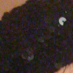 �����, ������, 69 ���