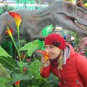 ���� �����, �����������, 40 ��� - ��������� 20 �������� 2013 � ������ ���� ����������