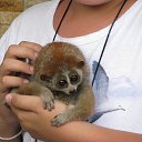 ��������� �� ���� ����