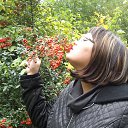 ���� �������, ���������, 37 ��� - ��������� 31 ������� 2013 � ������ �2013 ���