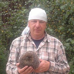 �������, ������, 50 ���