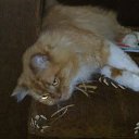 ���� Igor, ������-��-����, 59 ��� - ��������� 6 ������� 2013 � ������ ���� ����������