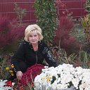 ���� �����, ��������, 61 ��� - ��������� 25 ������� 2013 � ������ ���� ����������