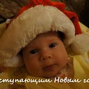 ���� �������, �����-���������, 41 ��� - ��������� 23 ������� 2013 � ������ ���� ����������