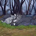 ����� ������ �� ������� ����� �������